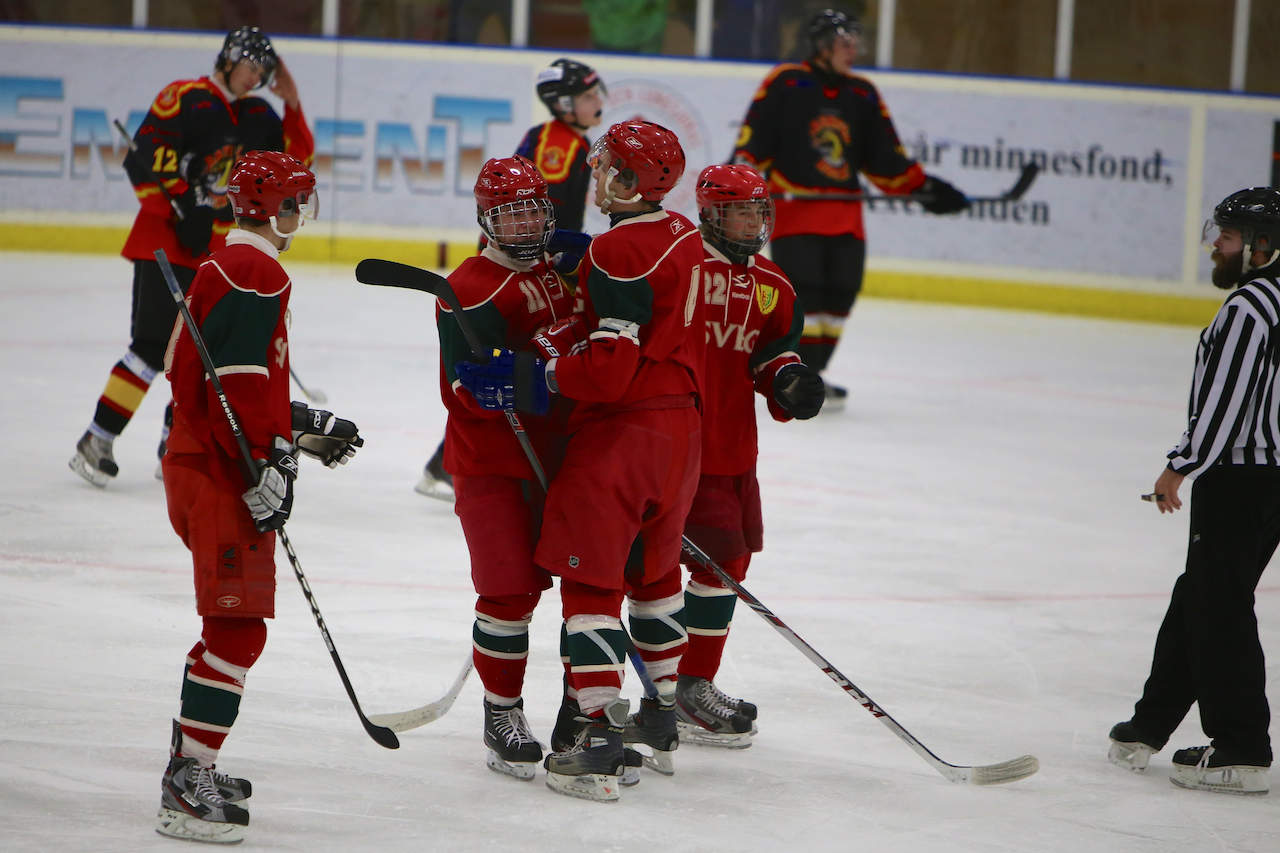 2013-11-15-sikhockey-2.jpg