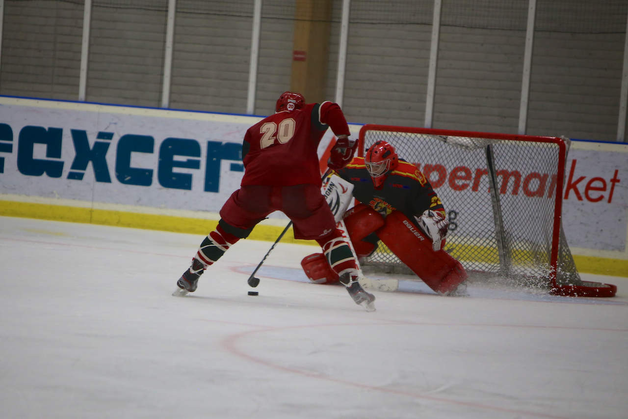2013-11-15-sikhockey-5.jpg