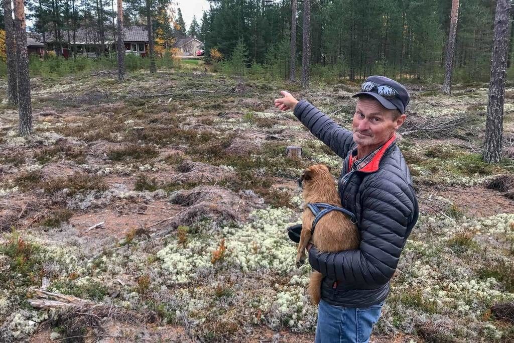 Lars-Göran Backman visar var björnungarna satt i ett varsitt träd, endast ett tiotal meter från villorna på Lövstigen i Sveg. Foto: Morgan Grip