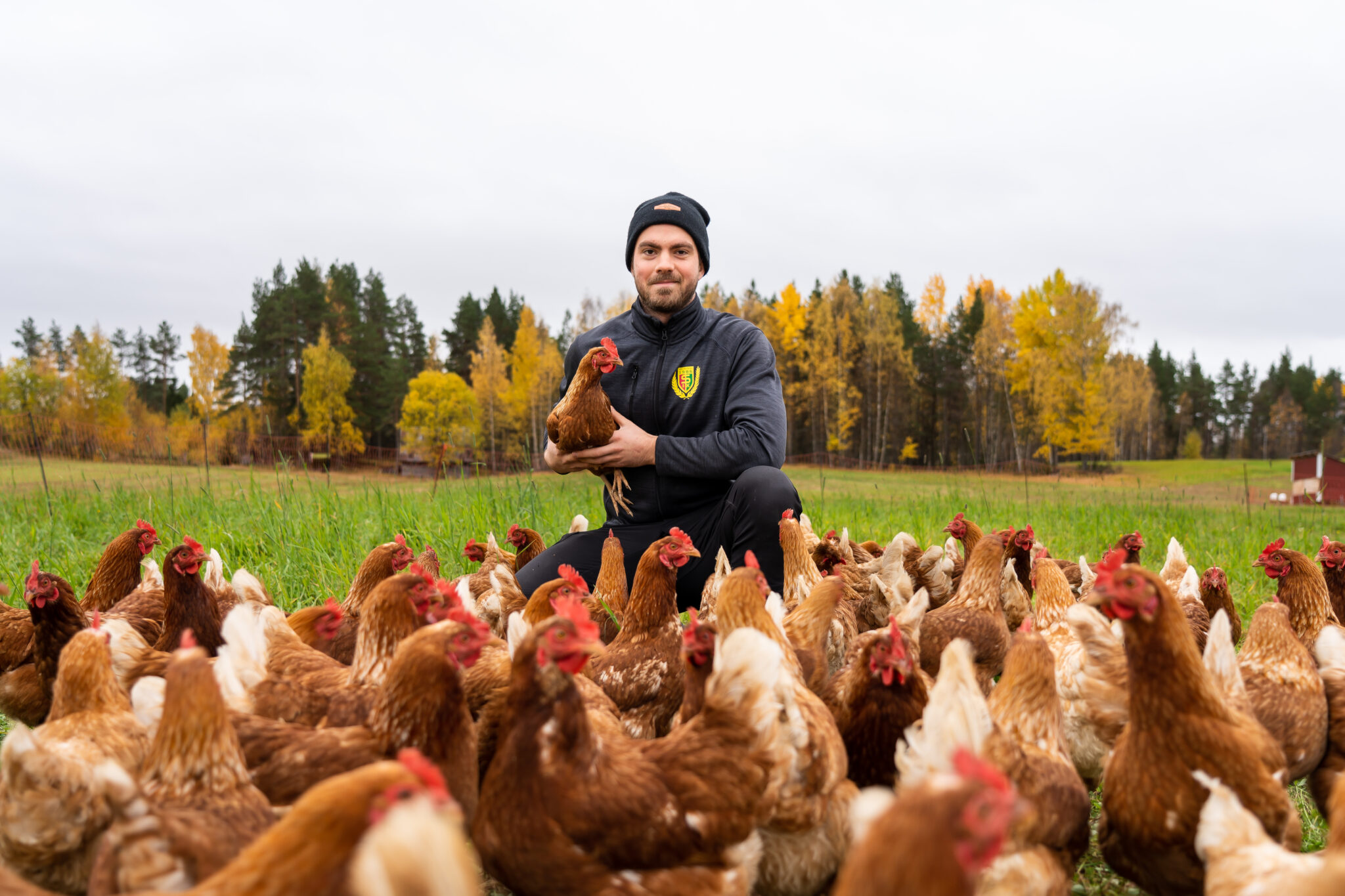 Stefan Olsson, Ägg i Byvallen. Foto: Morgan Grip