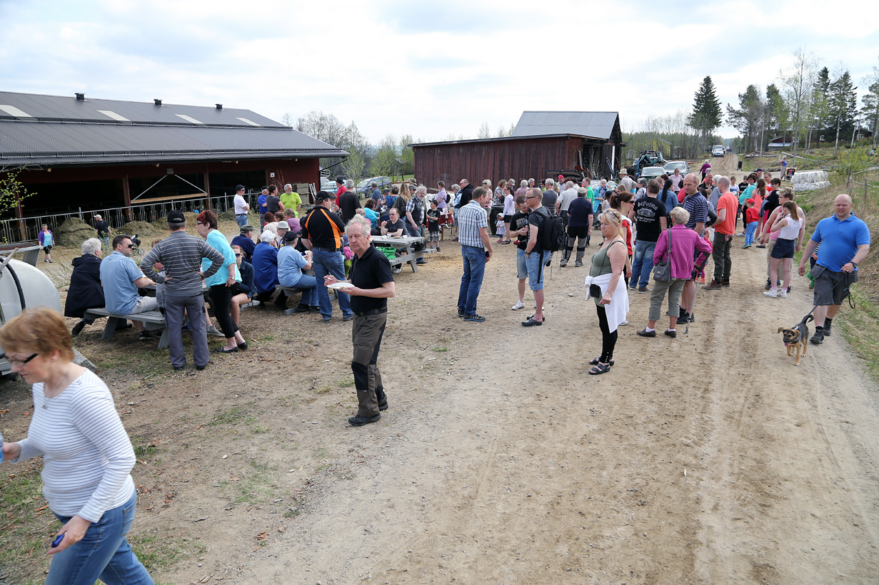 Ca 250 personer hade tagit sig till Ytterberg för att vara med på kosläpp. Foto: Morgan Grip