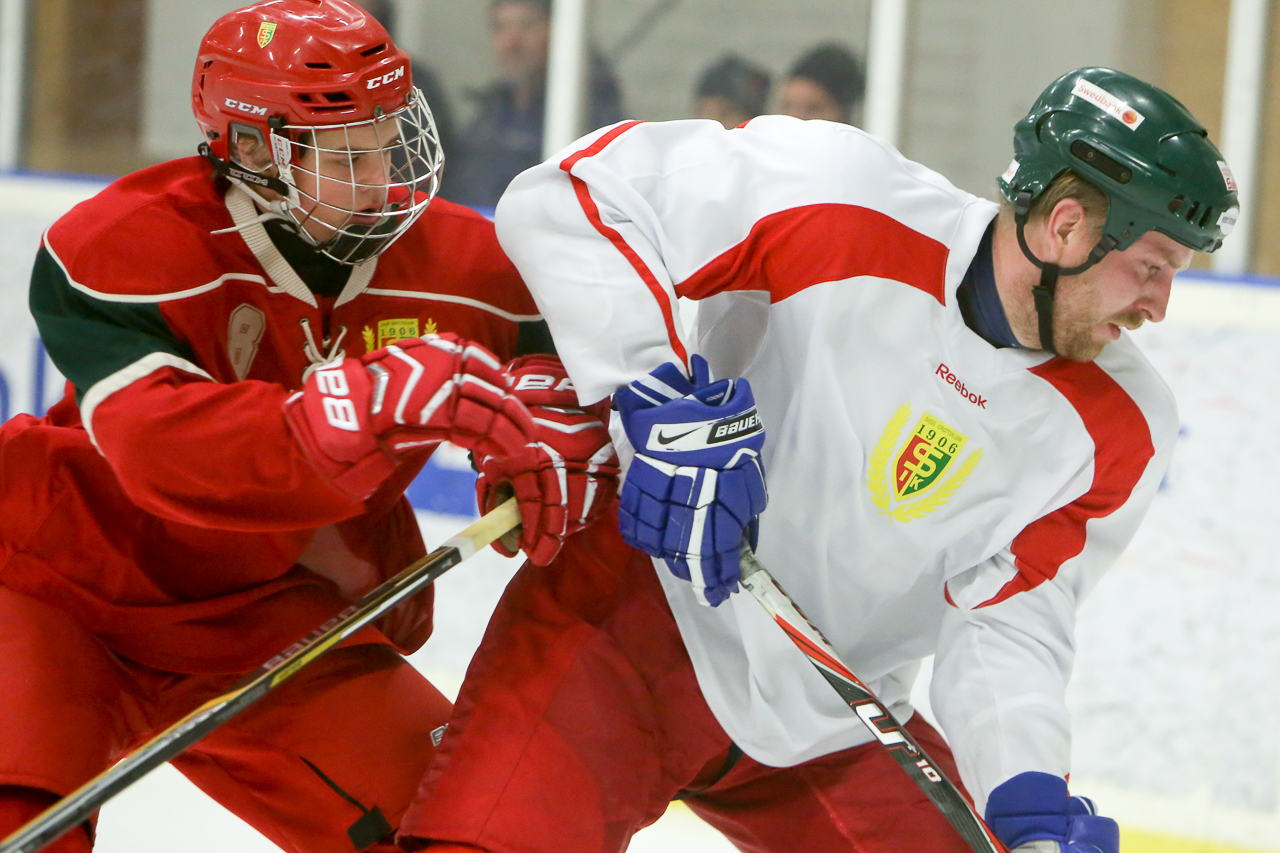 juldagshockey-161225-img_0061.jpg