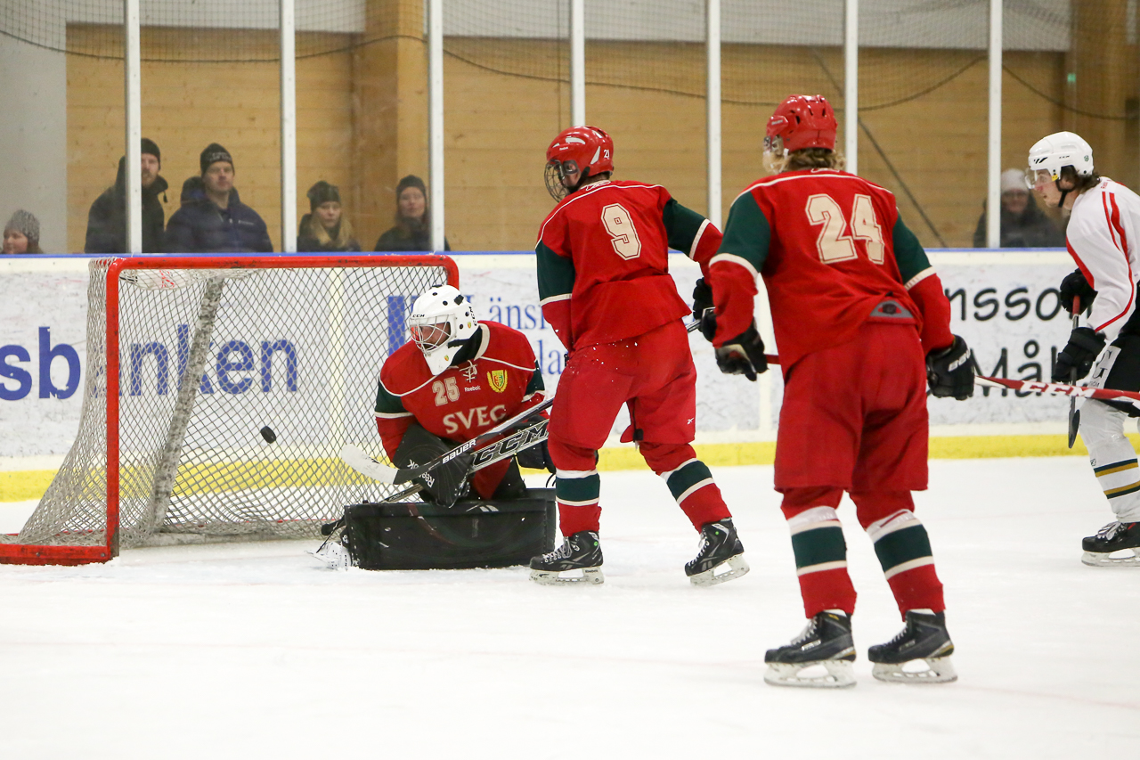 juldagshockey-161225-img_0110.jpg