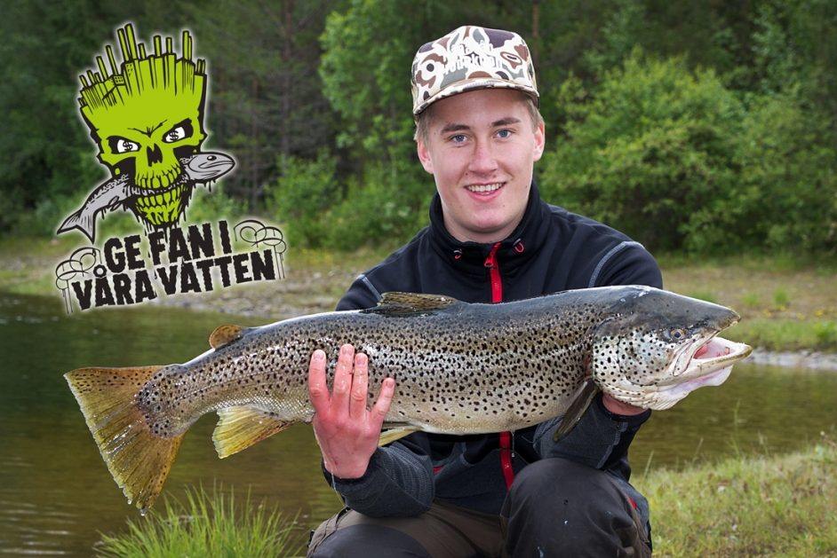 Foto: Håkan Färnlund / Härjedalens kommun