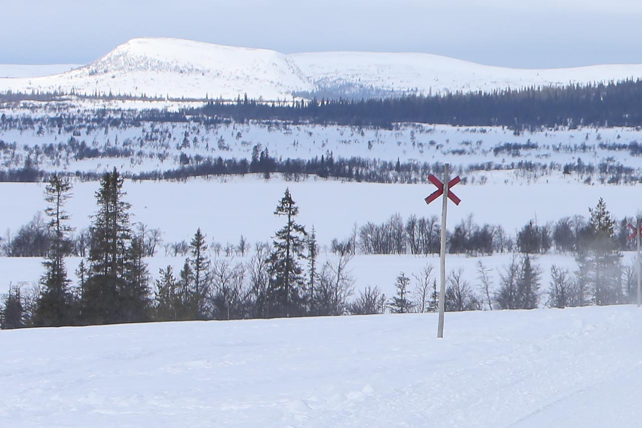Vacker utsikt och fina leder för både skoter- och skidåkare. Foto: Morgan Grip