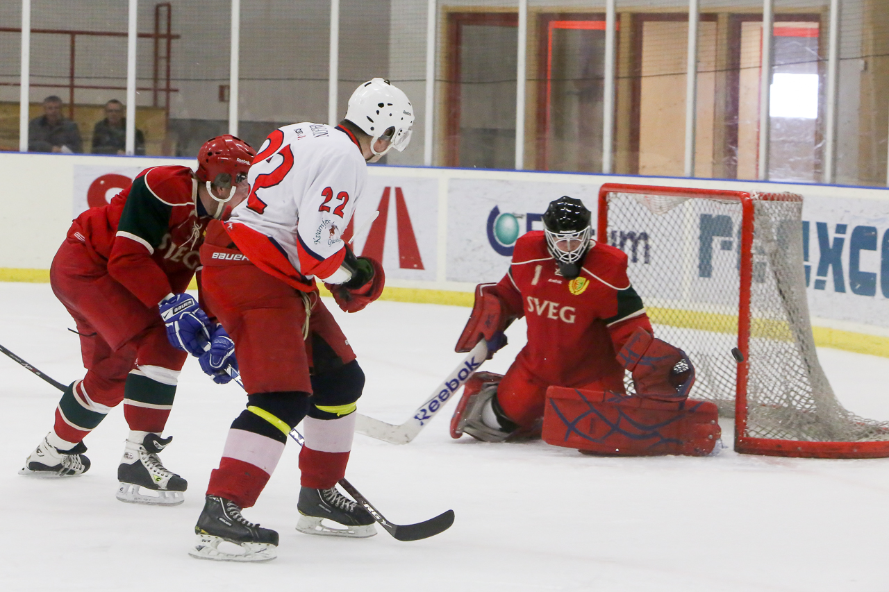 svegsik-hockey-2313.jpg